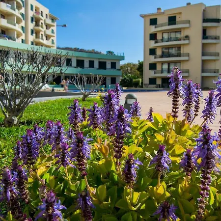Fantastico Studio Com Acesso Directo A Piscina Canico (Madeira)