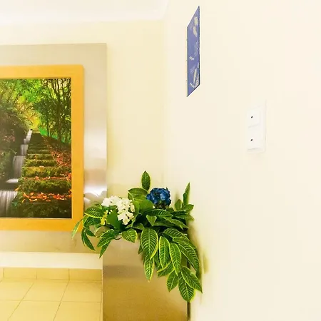 Fantastico Studio Com Acesso Directo A Piscina *